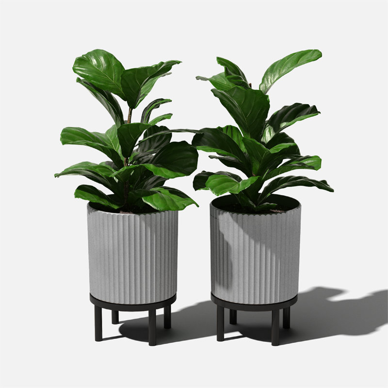 Jardinière Demi Series avec support, 2, Gris / Noir, H 16 po x l 10,5 po x P 10,5 po