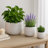 Aedin 3 Piece Dalet Ombre Planters-1037193902
