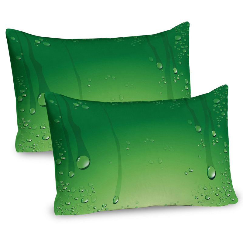 Ensemble de 2 taies décoratives Ambesonne Green, H 20 po x l 30 po