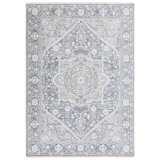 Oriental Area Rug in Grey / Blue