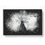 Majestic Trees - Wrapped Canvas-56645488