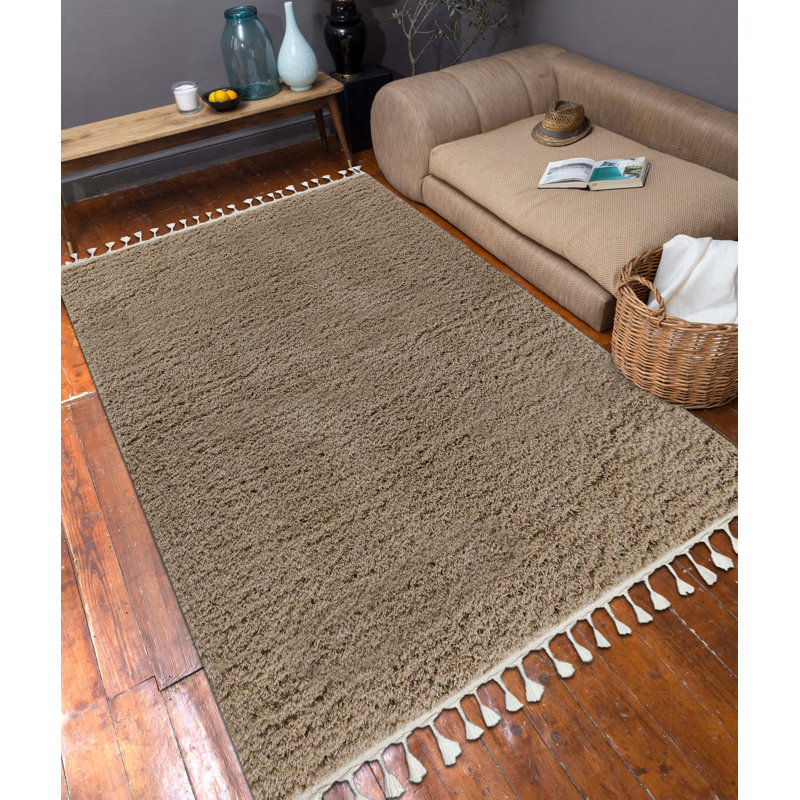Tapis brun à poils longs Marquarious, Rectangle 4 pi x 5 pi 11 po