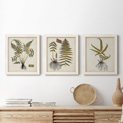 Fern Botanical IV - Ensemble de 3 peintures sur toile encadrées