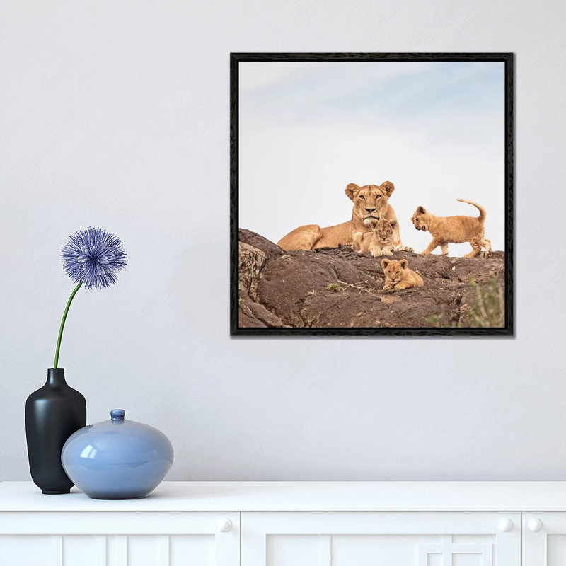 Colour Lioness & Cubs by Klaus Tiedge - Print on Canvas, 45.72 cm H x 45.72 cm W, Black Framed Canvas