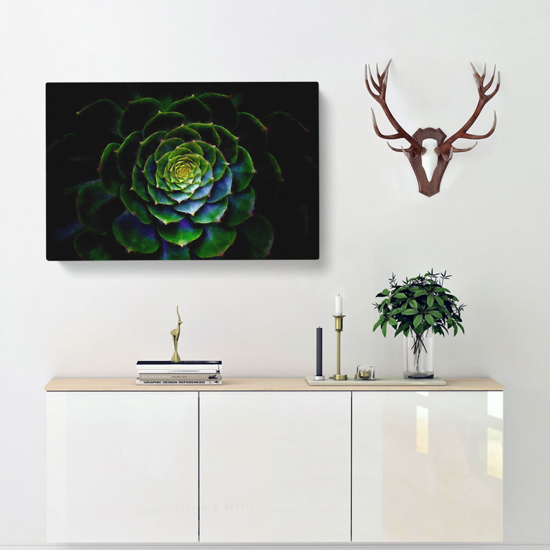 Dark Green Succulent Plant - Wrapped Canvas Painting, 60cm H x 91cm W x 3cm D