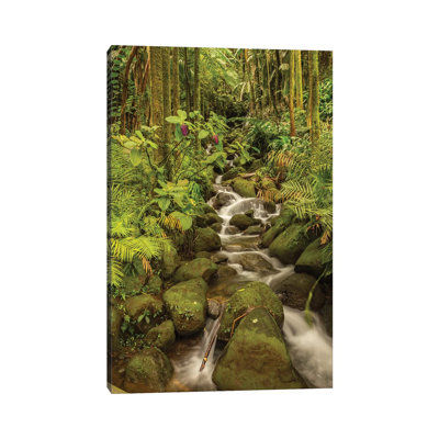 USA, Hawaii, Hawaii Tropical Botanical Garden. Tropical stream cascade over rocks. 1 Piece Wrapped Canvas Wall Art