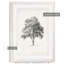 « rétro arbor study i » par paul cezanne-cadre photo, reproduction d’art-140381594-140381600