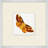 Reproduction d’art sur papier 6 cadres miniature Butterfly collection