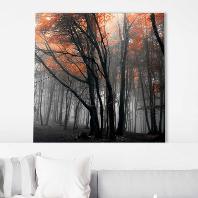 «Autumn Woods II» par Photoinc Studio - photographie