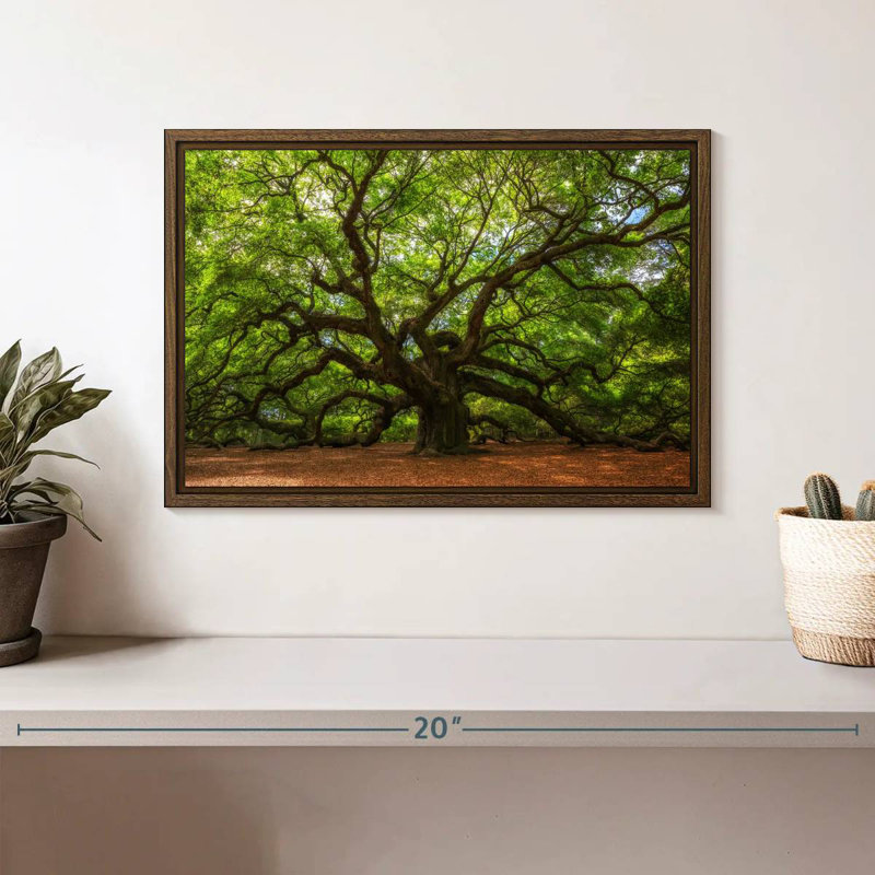 Oak, 13" X 9", Floating Frame Walnut