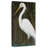 White Egret-316462279