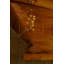 Westwood 12 - Light Chandelier-307308847