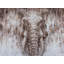 Mystérieux éléphant - peinture sur toile tendue-268296533