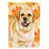 Golden retriever sélectionné