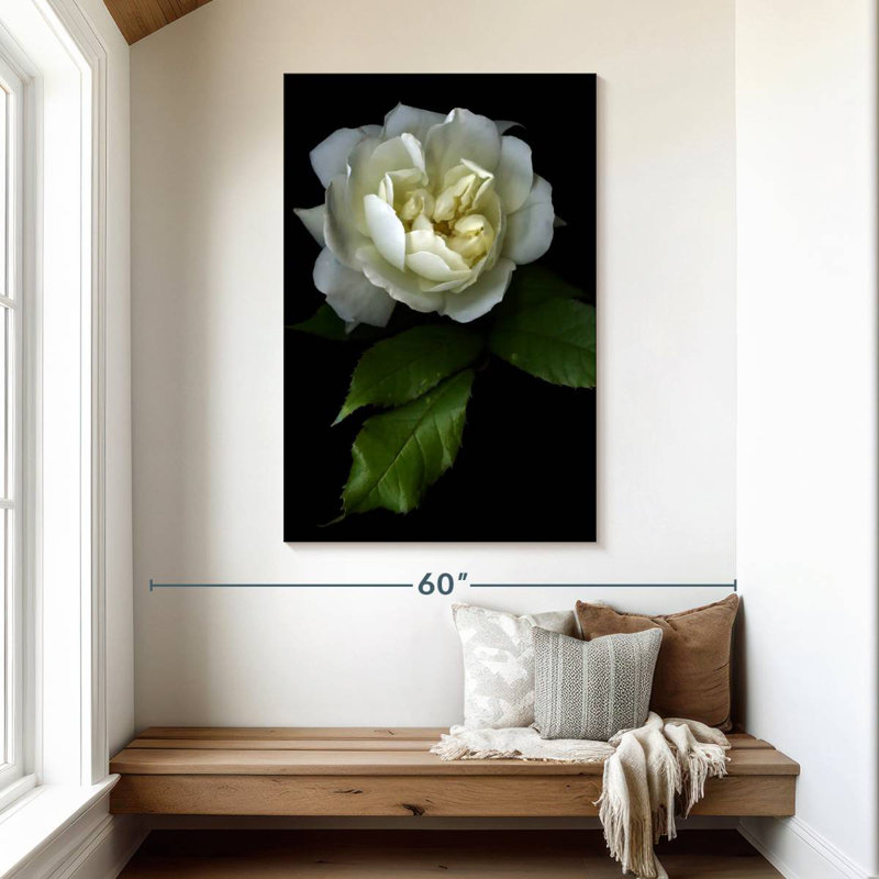 Rose blanche Harnek Lone, H 48 po x l 32 po