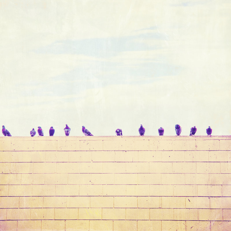 Birds On Wires III by Thomas Brown - Wrapped Canvas Print, 30cm H x 30cm W  