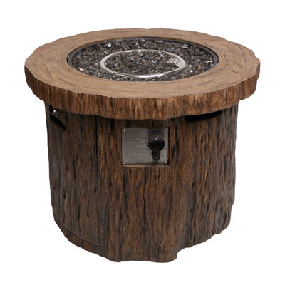 Foyer au gaz à aspect bois avec flamme réglable 50K BTU