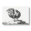 Sketch of a Rooster by Jean Bernard - Wrapped Canvas Drawing - Wrapped Canvas-55318814