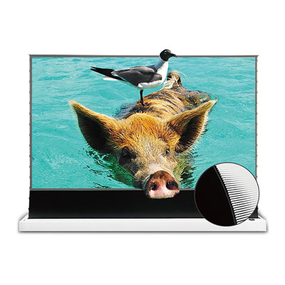 Projecteur 110 po Vividstorm S Pro