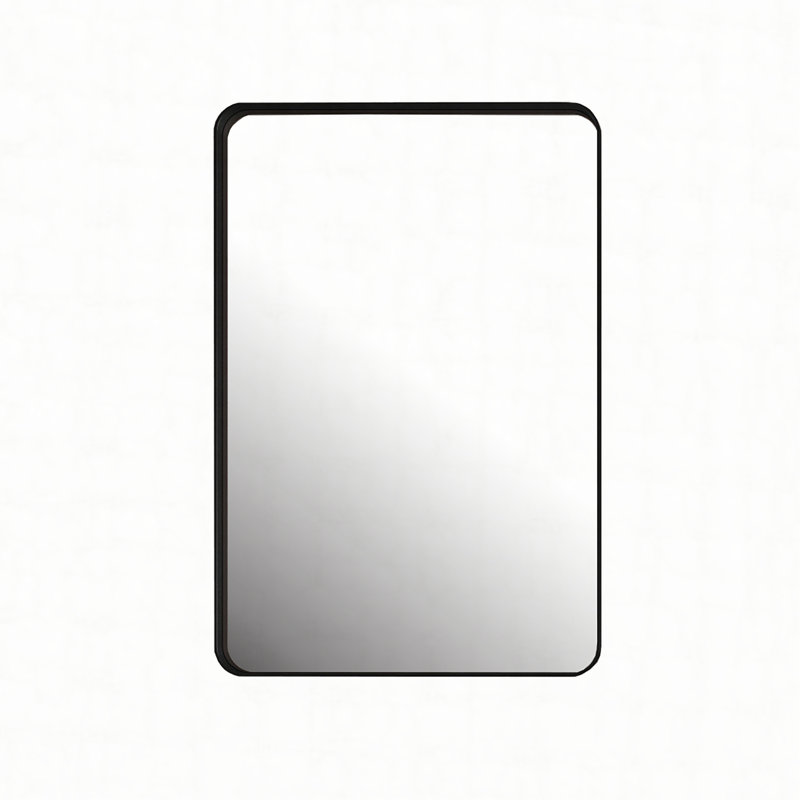 Armoire à pharmacie 20 po x 30 po à cadre en métal noir avec miroir et tablettes réglables