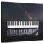 Abarca Piano Under Milky Way-109215806