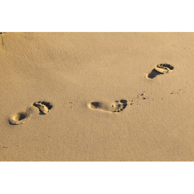 Human Footsteps - Wrapped Canvas Print