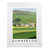 White Wood Frame