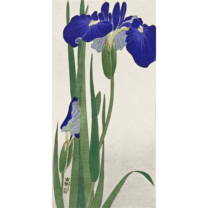 Iris bleu par Grand archives - Cadre photo sur papier