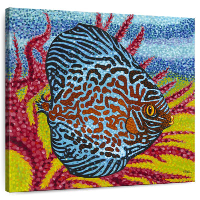 Brampt brillant poisson tropical II