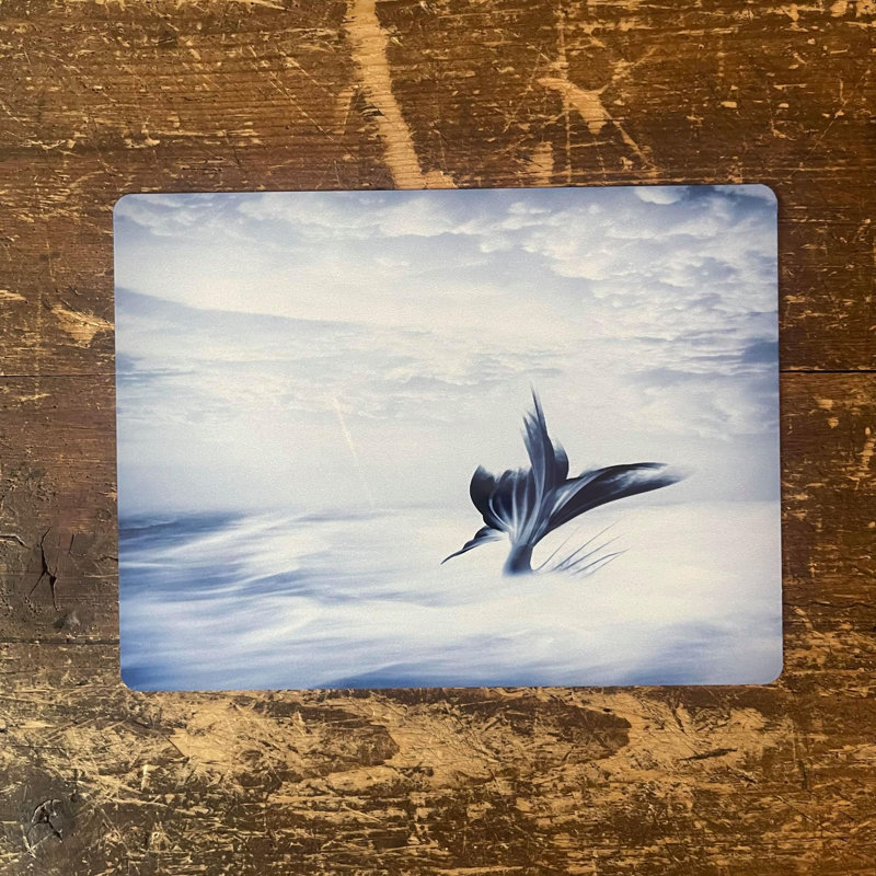 No Frame Print on Metal, 20cm H x 25cm W