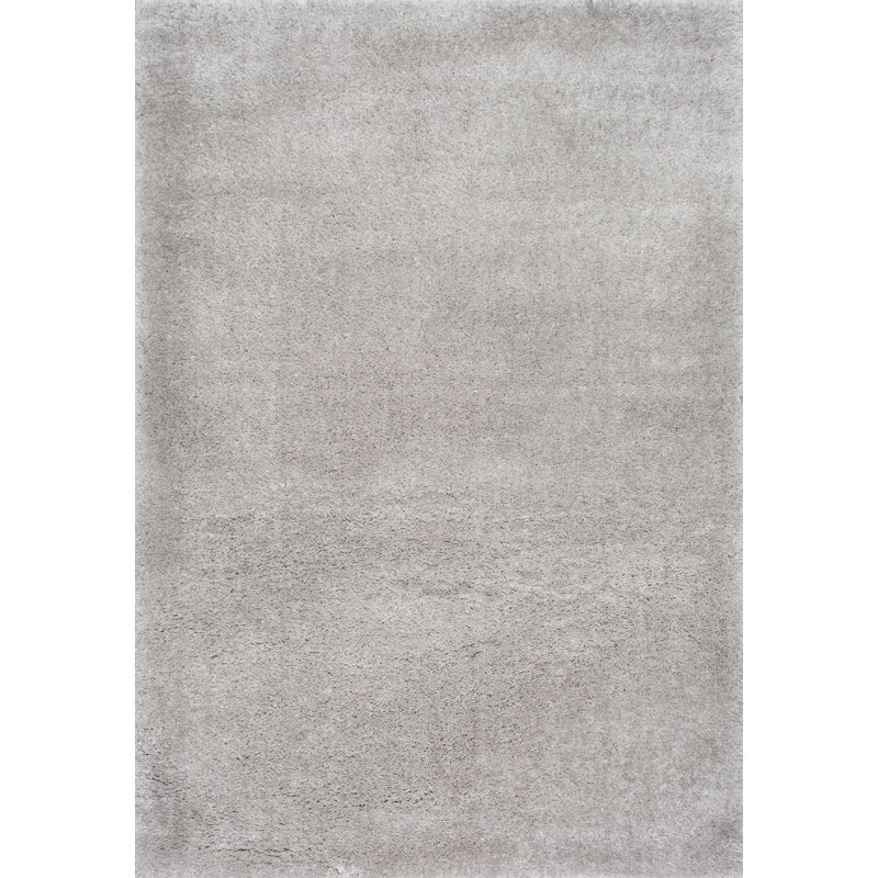 Andreanna Contemporary Performance Shag Light Gray Rug, Rectangle 4' x 6'