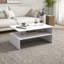 Umana Sled Coffee Table with Storage