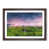 Walnut Framed selected