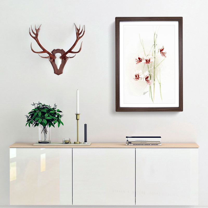 Magnolia Flowers Illustration Tab.74 by Frederick Sander - Picture Frame Art Print, 91cm H x 60cm W x 2cm D, Walnut