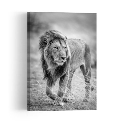 Majestic Lion Stride Classic Serene Contemporary Lion Nature Wildlife Wall Art Print by Jeffrey C. Sink - 1 Piece Wrapped Canvas Wall Art