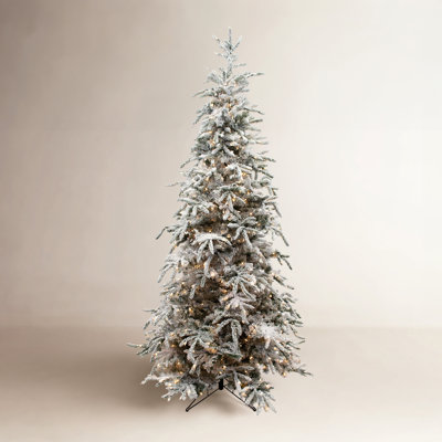 Frosted Pre-Lit Balsam Fir Christmas Tree
