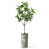 Botanical Green