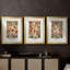 Ensemble de 3 pièces de la collection de pièces de luxe de la collection de pièces de monnaie de la collection Wm - 38 pièces-687470657-687470658