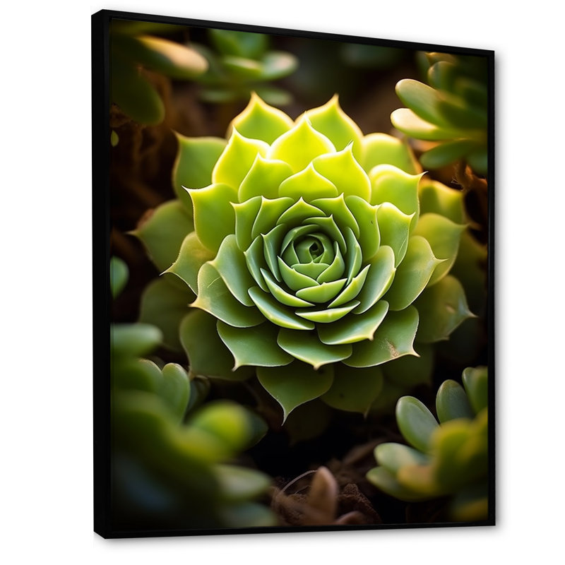 «Green Succulent Bloom», reproduction d'art sur toile, H 32 po x l 24 po, Cadre flottant noir