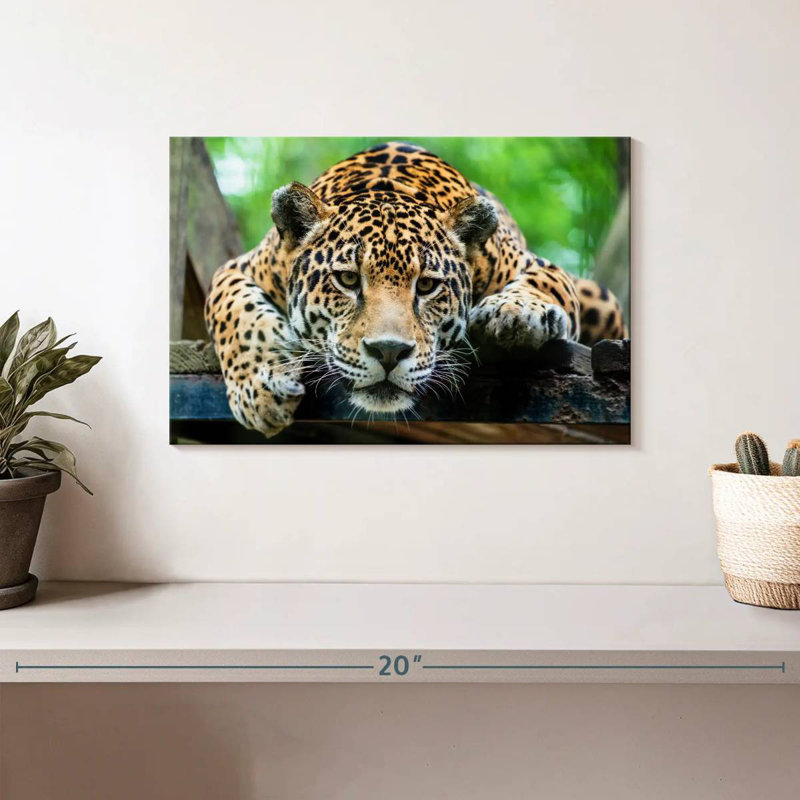 Crowle Lazy Leopard, 8" H x 12" W