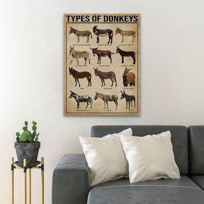 12 types d'âne - Types d'ânes - 1 pièce, impression d'art graphique rectangulaire sur toile tendue