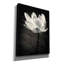 «Lotus Flower X» par Debra Van Swearingen, art mural sur toile-395945869