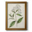 Toile encadrée de qualité supérieure Antique Botanical Collection-763440722