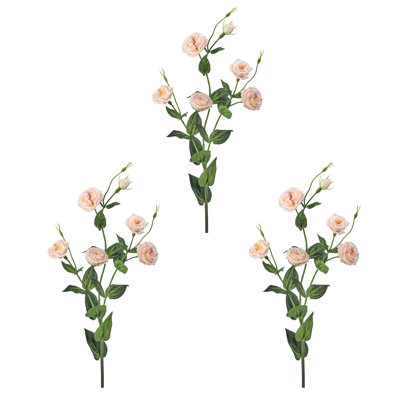 36 po Lisianthus 36 po