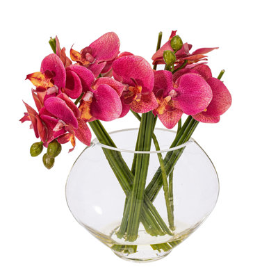Orchids Arrangement in Vase