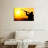Senne Duck Hunt-108726099