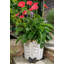 Luisa Weather Resistant Planter Feet