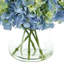 Hortensias en vase-1923130965