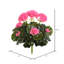Faux buisson de géranium-341537898