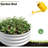 2Pcs W840116761 Galvanized Metal Planter Box For Diy Garden Design, Open Bottom Soil Aeration Raised Bed Growing Carrot And Herbs, Double - Layer Galvanizing-1551455270-1551455271